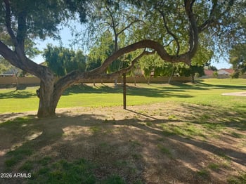 8819 Aster Dr, Scottsdale, AZ 85260
