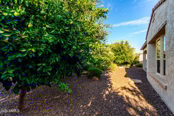 882 Laddoos Ave, Queen Creek, AZ 85140