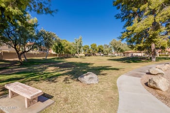8853 Charter Oak Dr, Scottsdale, AZ 85260