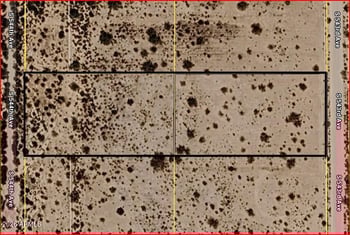 888X 543rd Ave #-, Tonopah, AZ 85354