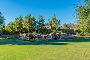 900 Macaw Dr, Chandler, AZ 85286