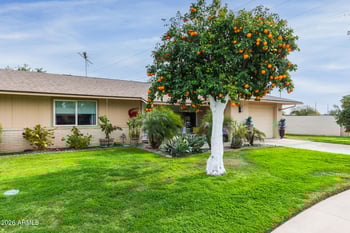 9001 109th Dr, Sun, AZ 85351