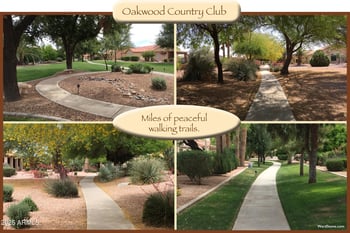 9011 Diamond Dr, Sun Lakes, AZ 85248