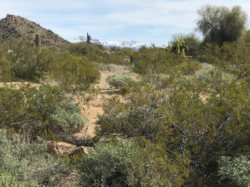 9011 E Mcdowell Rd, Mesa, AZ 85207