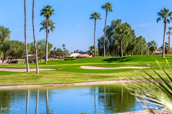 9020 Cedar Waxwing Dr, Sun Lakes, AZ 85248