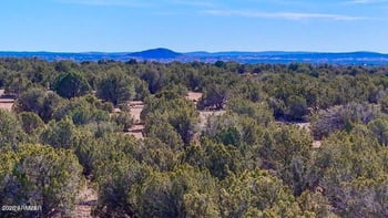 9023 Appaloosa Trl Lot A 5 Acres -- #-, Show Low, AZ 85901