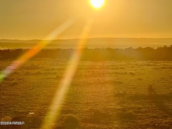 9023 Appaloosa Trl Lot B 5 Acres -- #-, Show Low, AZ 85901