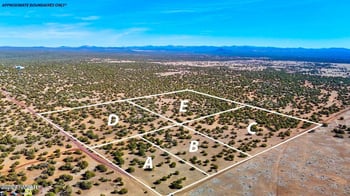 9023 Appaloosa Trl Lot E 10 Acres -- #-, Show Low, AZ 85901