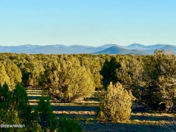 9023 Appaloosa Trl Lot E 10 Acres -- #-, Show Low, AZ 85901