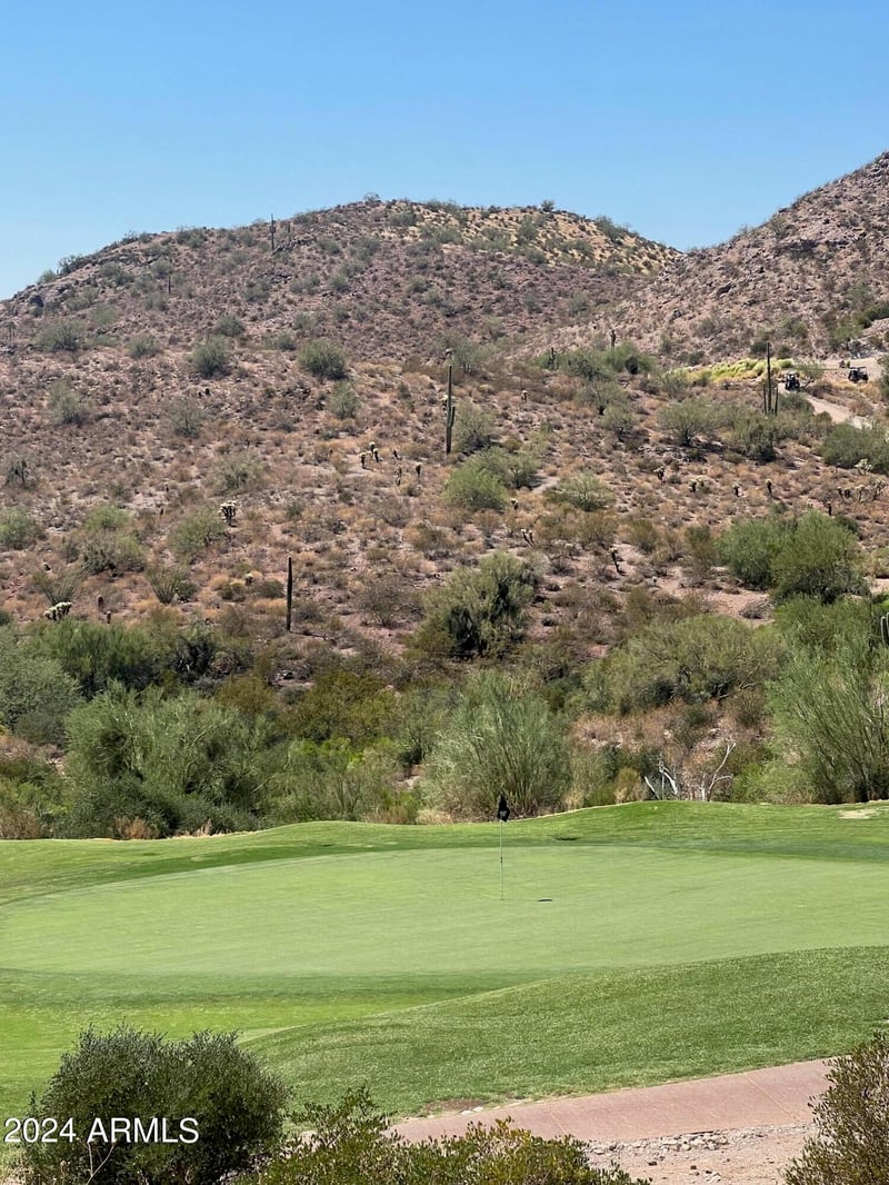 9029 Avenida Fiebre De Oro -- #24, Gold Canyon, AZ 85118