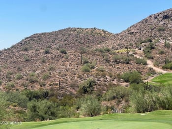 9029 Avenida Fiebre De Oro -- #24, Gold Canyon, AZ 85118
