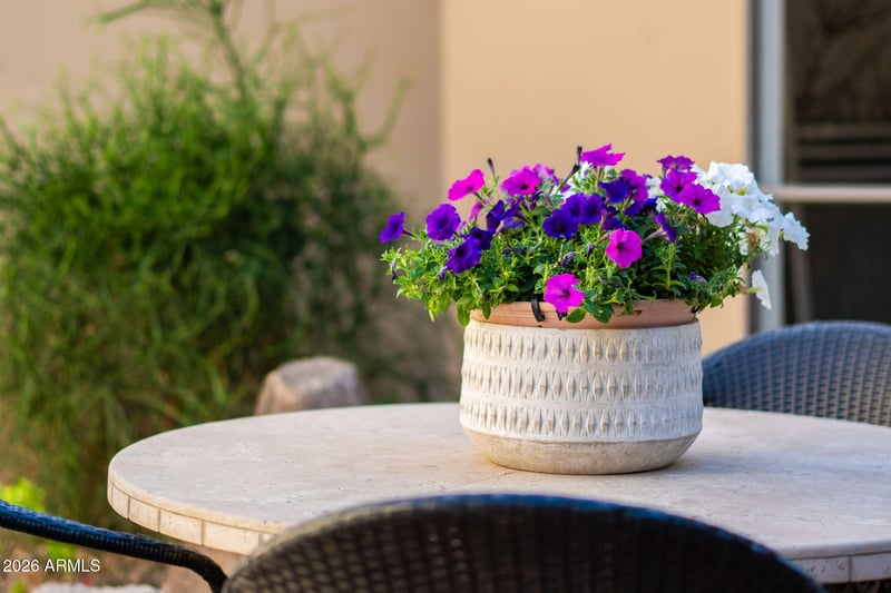 9045 86th Pl, Scottsdale, AZ 85258