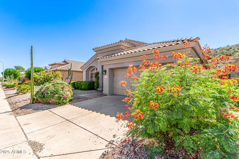 907 Goldenrod St, Phoenix, AZ 85048