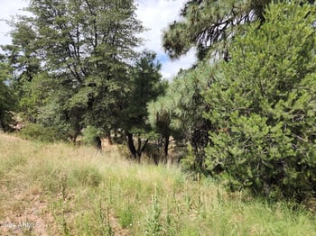 910 Beeline Hw #89, Payson, AZ 85541