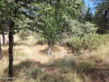 910 Beeline Hw #89, Payson, AZ 85541