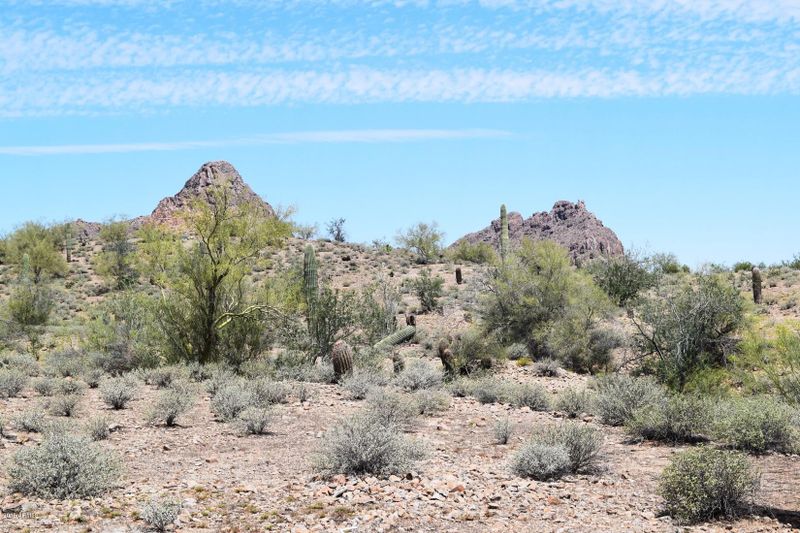 9100 E Avram Rd #80, Queen Creek, AZ 85144