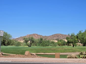 9119 Avenida La Tarde --, Gold Canyon, AZ 85118