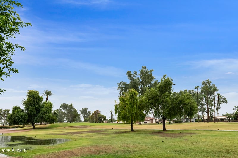 9119 Fairway Blvd, Sun Lakes, AZ 85248