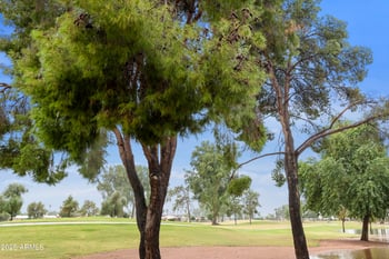 9119 Fairway Blvd, Sun Lakes, AZ 85248