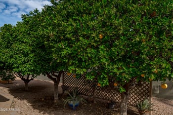 9130 Crystal Dr, Sun Lakes, AZ 85248