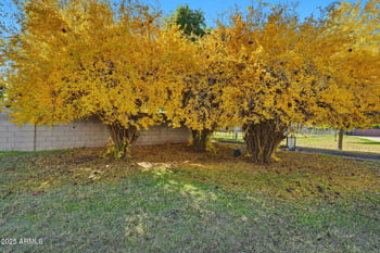 914 132nd St, Gilbert, AZ 85233