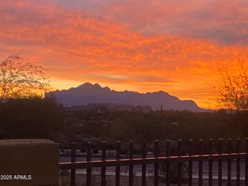 9155 Leonora St, Mesa, AZ 85207