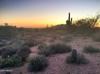 9156 Happy Hollow Dr #155, Scottsdale, AZ 85262