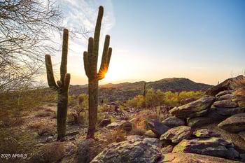 917 Buist Ave, Phoenix, AZ 85042