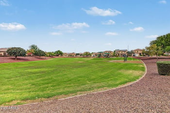 919 E Randy St, Avondale, AZ 85323