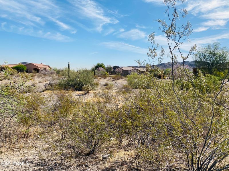 9191 S Krista Dr E #7, Goodyear, AZ 85338