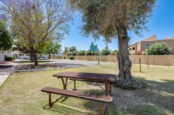 920 82nd St #H203, Scottsdale, AZ 85257