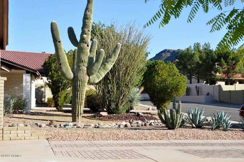 920 E Le Marche Ave, Phoenix, AZ 85022