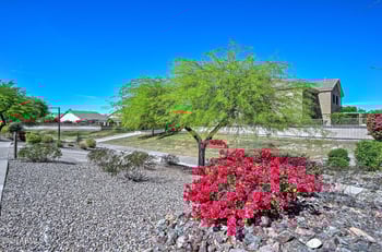 9206 Lone Cactus Dr, Peoria, AZ 85382