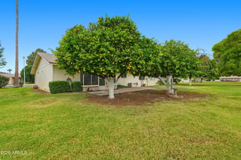 9219 107th Dr, Sun City, AZ 85351