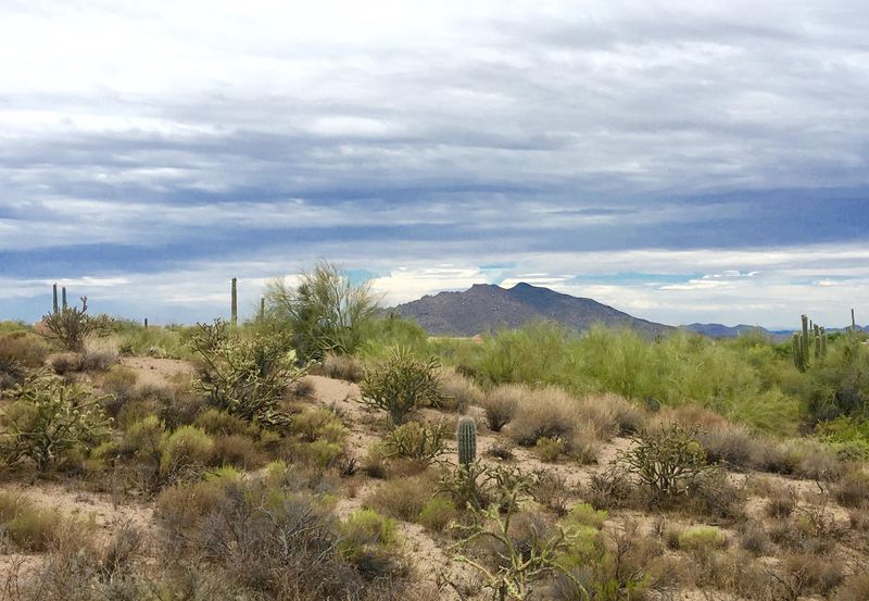 9219 E Bajada Rd #150, Scottsdale, AZ 85262