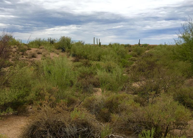 9219 E Bajada Rd #150, Scottsdale, AZ 85262