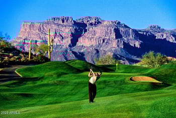 9244 Mogollon Trl, Gold Canyon, AZ 85118