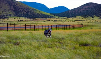 9255 Feather Trace Rd #17, Prescott Valley, AZ 86314