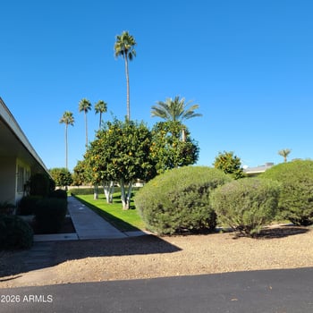 9273 111th Ave, Sun City, AZ 85351