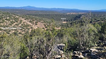 929 Forest Service Rd 721 A -- #929, Williams, AZ 86046