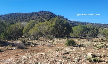 929 Forest Service Rd 721 A -- #929, Williams, AZ 86046