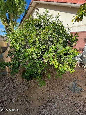 930 Sandal Cir, Mesa, AZ 85205