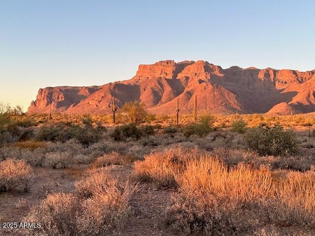 9300 Bunny Ear Ln Lot 4 C Ln Lot 4-C, Gold Canyon, AZ 85118