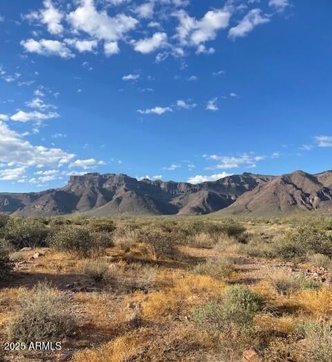 9300 Bunny Ear Ln Lot 4 C Ln Lot 4-C, Gold Canyon, AZ 85118