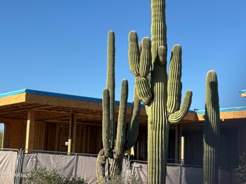 9300 Via Montoya Pl, Scottsdale, AZ 85255