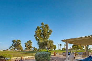 9321 W Briarwood Cir, Sun City, AZ 85351