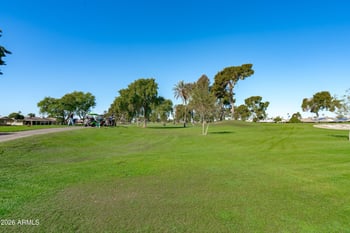 9329 Briarwood Cir, Sun City, AZ 85351