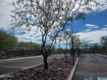 9331 W Plum Rd, Peoria, AZ 85383