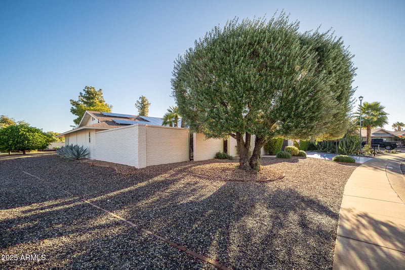 9338 Spanish Moss Ln, Sun City, AZ 85373