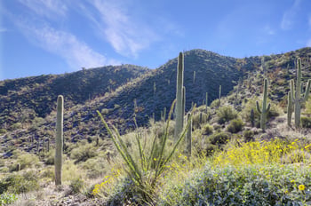 9344 E Limousin Dr SE #15C, Scottsdale, AZ 85262